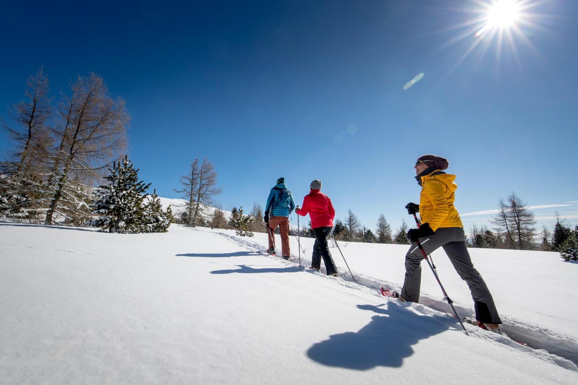 Ferienpark Kreischberg By Alps Resorts Sankt Lorenzen ob Murau Exteriér fotografie